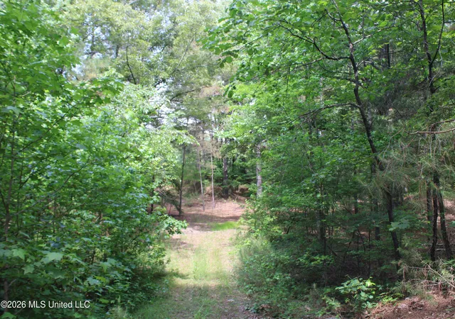 Homes for sale in Holly Springs, MS | 500 Boswell Rd, Holly Springs, MS 38635 | MLS# 4149891