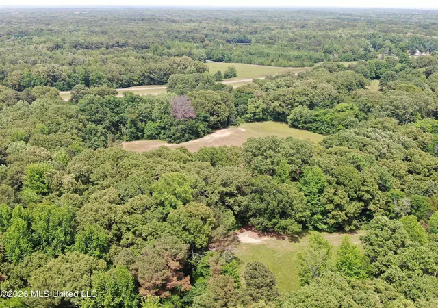 Homes for sale in Holly Springs, MS | 500 Boswell Rd, Holly Springs, MS 38635 | MLS# 4149891