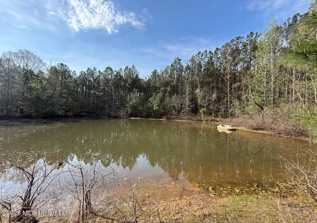 Homes for sale in Carthage, MS | 2893 Truesdale Rd, Carthage, MS 39051 | MLS# 4150072