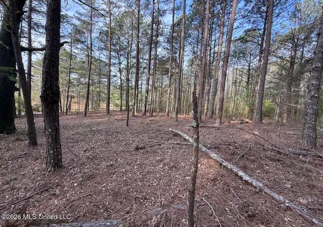 Homes for sale in Carthage, MS | 2893 Truesdale Rd, Carthage, MS 39051 | MLS# 4150072