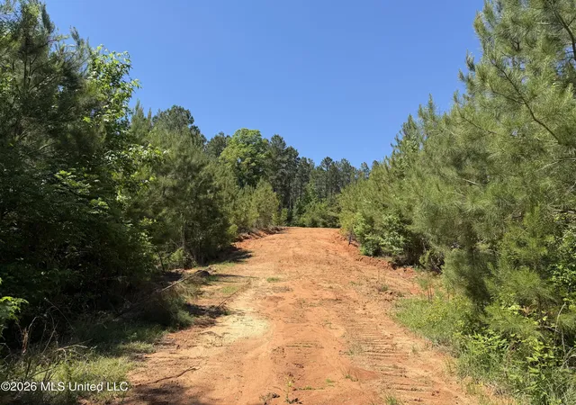 Homes for sale in Camden, MS | Couparle Road, Camden, MS 39045 | MLS# 4149827