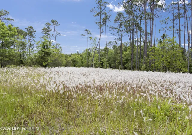 Photo 4 of Land for sale at 0 Hummingbird Ln, Biloxi, MS 39532 | MLS# 4149841 | Listing updated on 2026-05-19