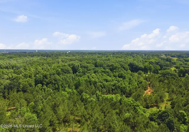 17th image of 0 E Chanticleer Dr, Hattiesburg, MS 39402 | MLS# 4149972