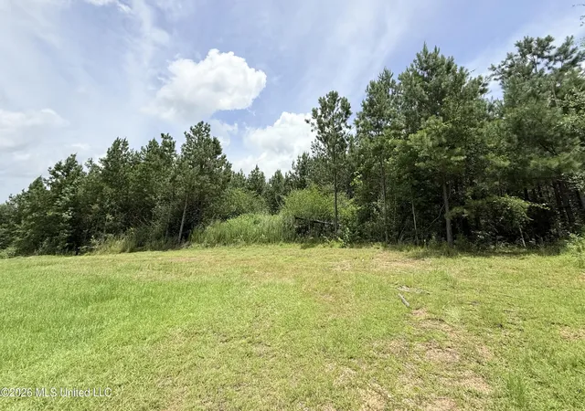 Homes for sale in Summit, MS | Summit Dr, Summit, MS 39666 | MLS# 4150252