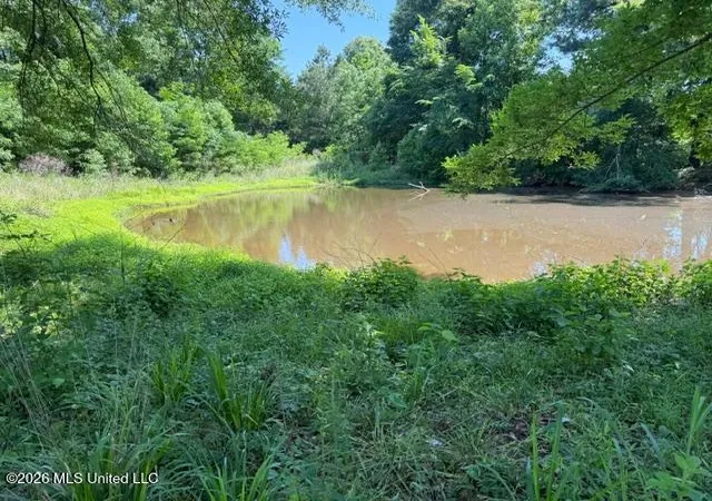 2nd image of 53 Cliffs Plantation Rd, Natchez, MS 39120 | MLS# 4149874