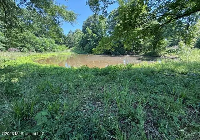 3rd image of 53 Cliffs Plantation Rd, Natchez, MS 39120 | MLS# 4149874