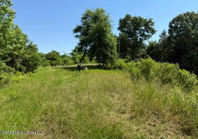 1st image of 53 Cliffs Plantation Rd, Natchez, MS 39120 | MLS# 4149874