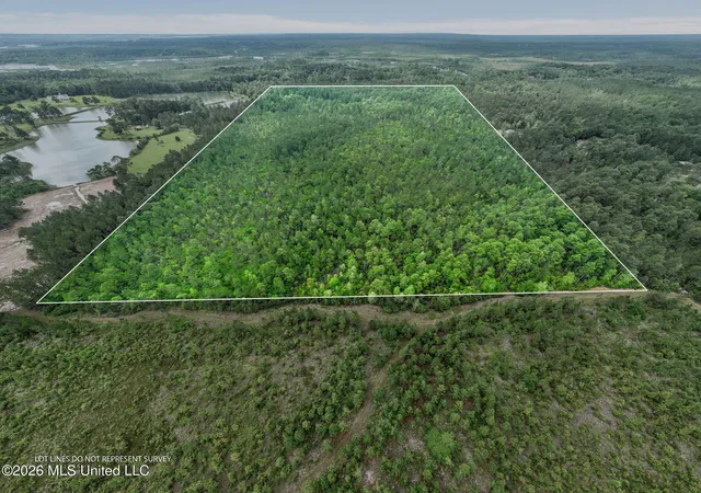 1st image of 80 Acres Blue Wood Dr, Perkinston, MS 39573 | MLS# 4150603