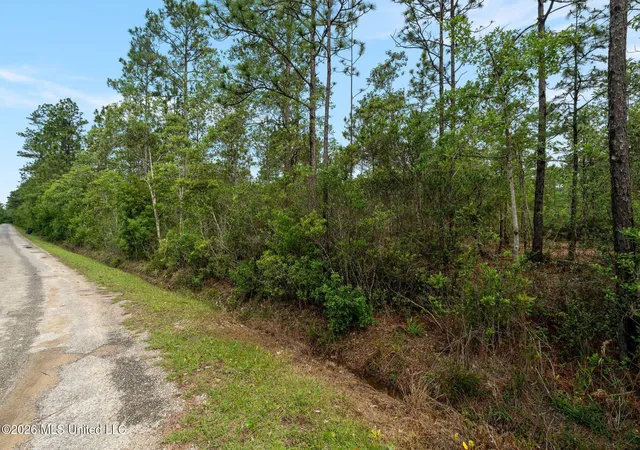 3rd image of 80 Acres Blue Wood Dr, Perkinston, MS 39573 | MLS# 4150603