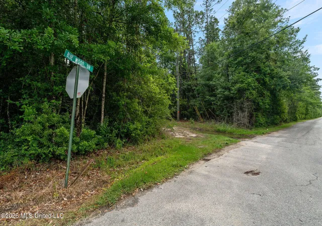 4th image of 80 Acres Blue Wood Dr, Perkinston, MS 39573 | MLS# 4150603
