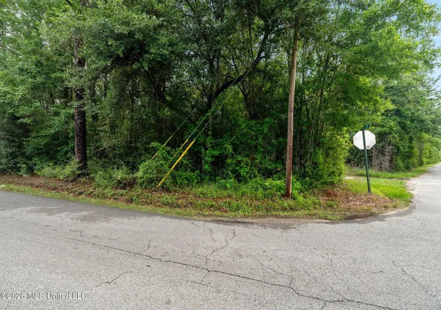 5th image of 80 Acres Blue Wood Dr, Perkinston, MS 39573 | MLS# 4150603