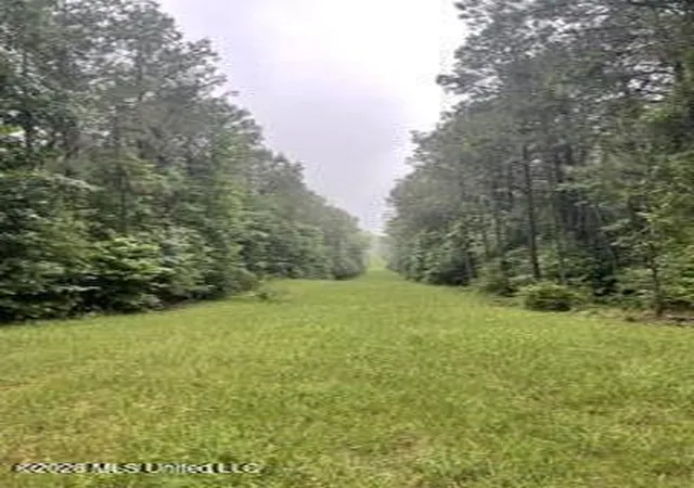 Homes for sale in Hazlehurst, MS | Lowenkamp Ln, Hazlehurst, MS 39083 | MLS# 4150285