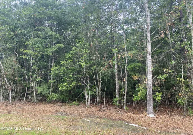 Photo 3 of Land for sale at 21205 S Fork Rd, Saucier, MS 39574 | MLS# 4150822 | Listing updated on 2026-07-23