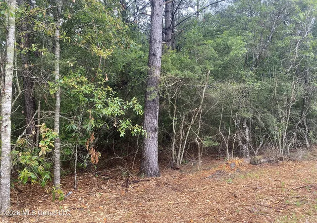 Photo 3 of Land for sale at 21205 S Fork Rd, Saucier, MS 39574 | MLS# 4150822 | Listing updated on 2026-07-23
