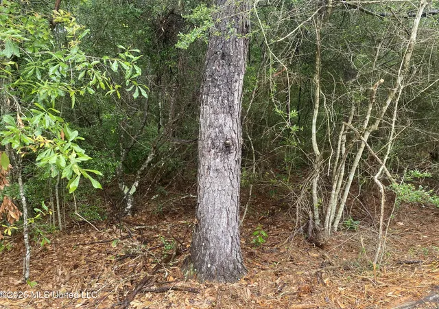 Photo 4 of Land for sale at 21205 S Fork Rd, Saucier, MS 39574 | MLS# 4150822 | Listing updated on 2026-07-23
