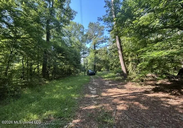 Homes for sale in Crosby, MS | Parker Rd, Crosby, MS 39633 | MLS# 4150260