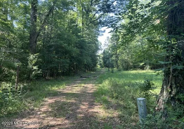 Homes for sale in Crosby, MS | Parker Rd, Crosby, MS 39633 | MLS# 4150260