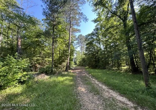 Homes for sale in Crosby, MS | Parker Rd, Crosby, MS 39633 | MLS# 4150260