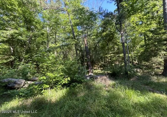 Homes for sale in Crosby, MS | Parker Rd, Crosby, MS 39633 | MLS# 4150260