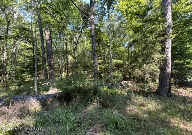 Homes for sale in Crosby, MS | Parker Rd, Crosby, MS 39633 | MLS# 4150260