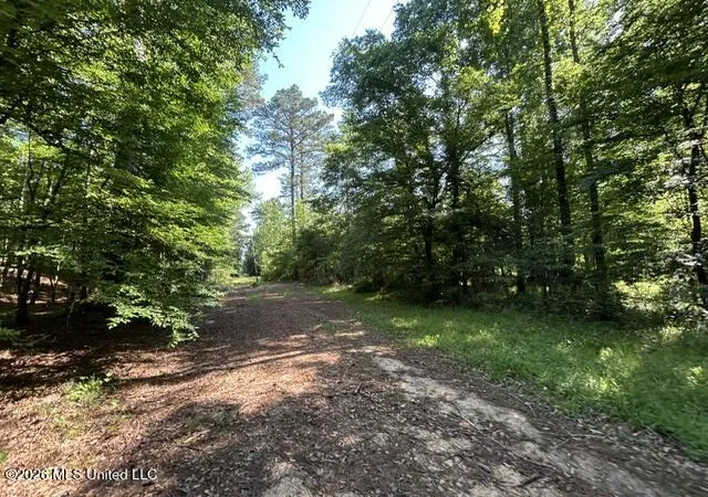 Homes for sale in Crosby, MS | Parker Rd, Crosby, MS 39633 | MLS# 4150260
