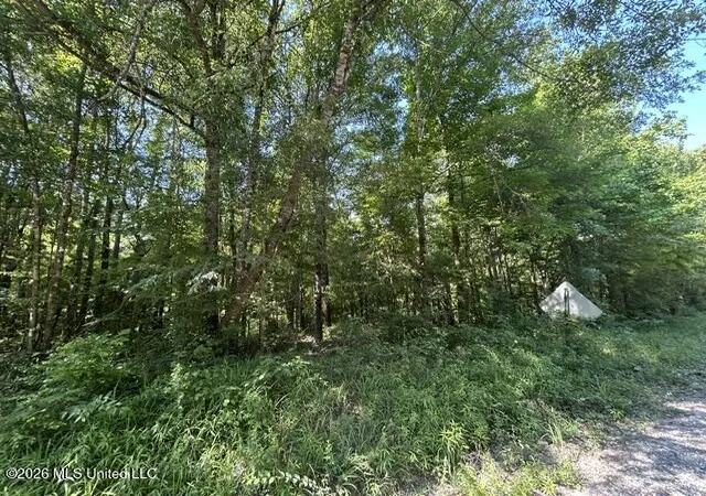 Homes for sale in Crosby, MS | Lower Gloster Rd, Crosby, MS 39633 | MLS# 4150259