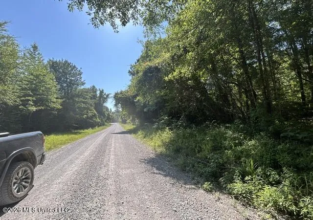 Homes for sale in Crosby, MS | Lower Gloster Rd, Crosby, MS 39633 | MLS# 4150259