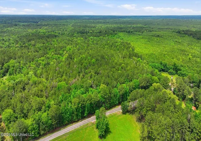 Homes for sale in Camden, MS | Hwy 43 Rd, Camden, MS 39045 | MLS# 4150318