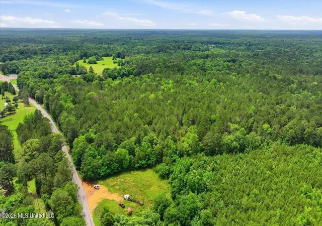 Homes for sale in Camden, MS | Hwy 43 Rd, Camden, MS 39045 | MLS# 4150318