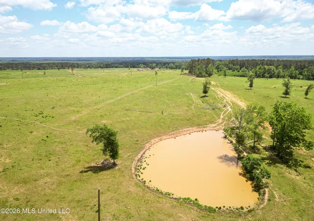 Homes for sale in Ruth, MS | Se Gleenwood Rd, Ruth, MS 39662 | MLS# 4150140