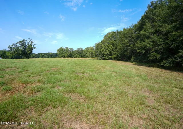 Photo 2 of Land for sale at Cane Crk Rd, Flora, MS 39071 | MLS# 4150132 | Listing updated on 2026-05-21