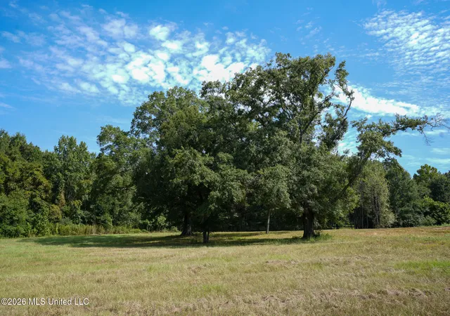Photo 3 of Land for sale at Cane Crk Rd, Flora, MS 39071 | MLS# 4150132 | Listing updated on 2026-05-21