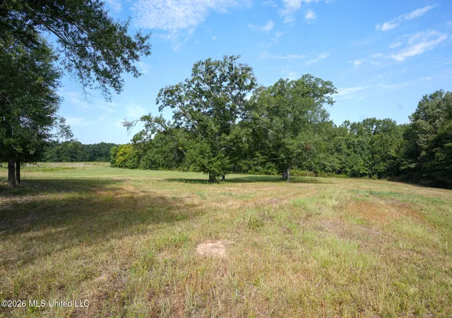 Photo 4 of Land for sale at Cane Crk Rd, Flora, MS 39071 | MLS# 4150132 | Listing updated on 2026-05-21