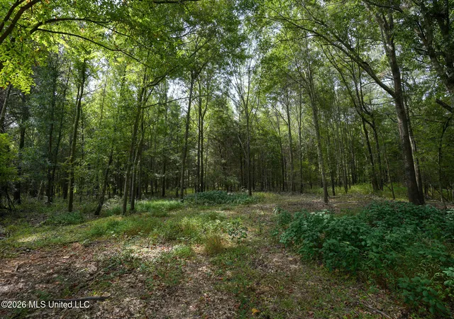 3rd image of Fallen Oak Cvs, Flora, MS 39071 | MLS# 4150139