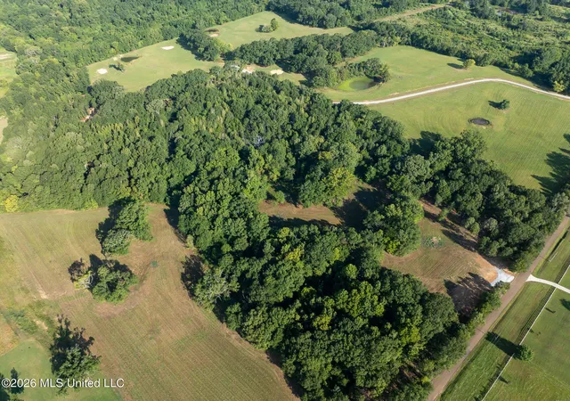 4th image of Fallen Oak Cvs, Flora, MS 39071 | MLS# 4150139