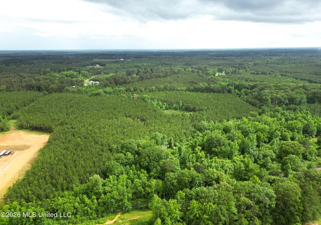 Homes for sale in Brookhaven, MS | 1099 Us 84, Brookhaven, MS 39601 | MLS# 4150166