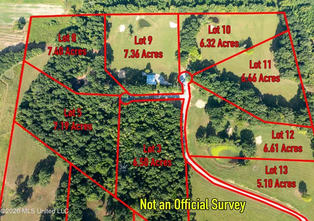 10th image of Grand Oaks Wy, Flora, MS 39071 | MLS# 4150176