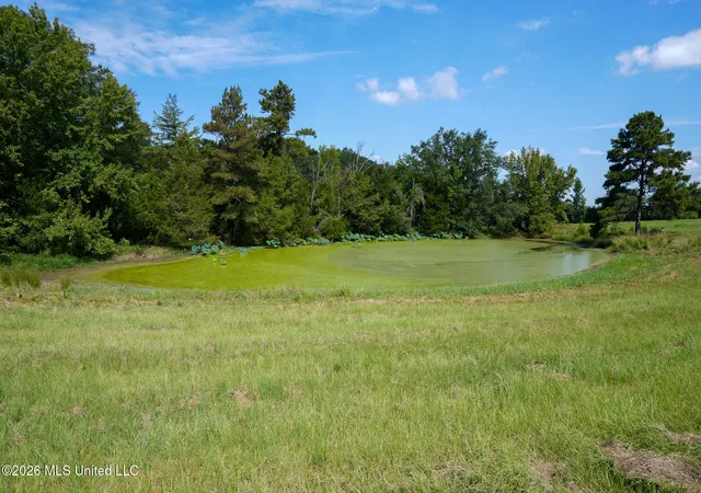 3rd image of Grand Oaks Wy, Flora, MS 39071 | MLS# 4150176
