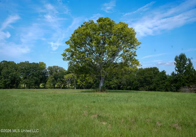 4th image of Grand Oaks Wy, Flora, MS 39071 | MLS# 4150176