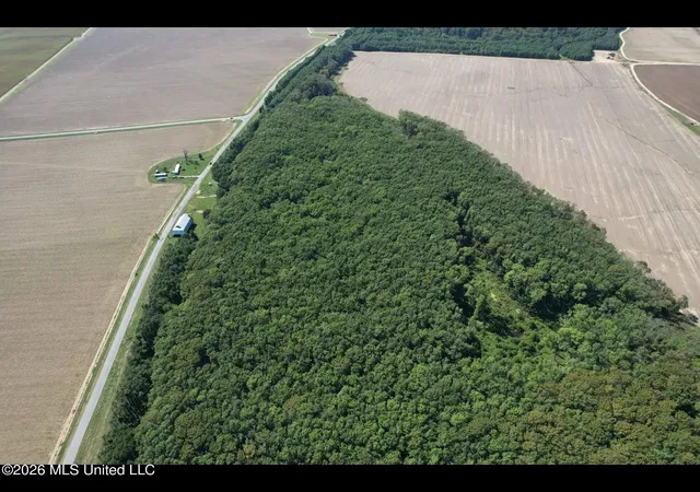 2nd image of Co Rd 515, Schlater, MS 38952 | MLS# 4150210