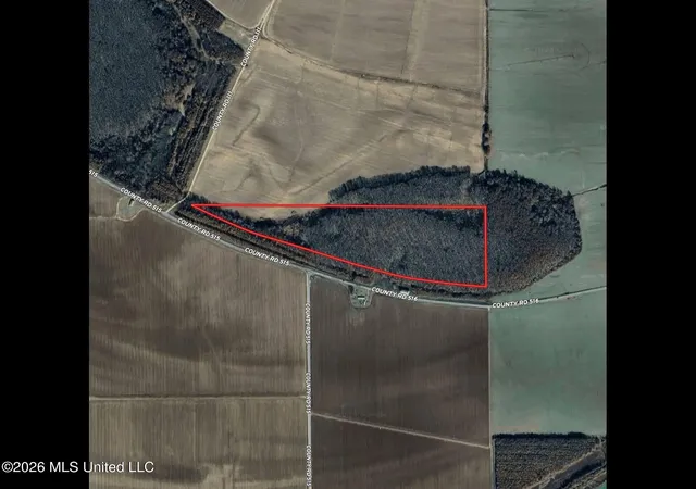 Photo 3 of Land for sale at Co Rd 515, Schlater, MS 38952 | MLS# 4150210 | Listing updated on 2026-05-22
