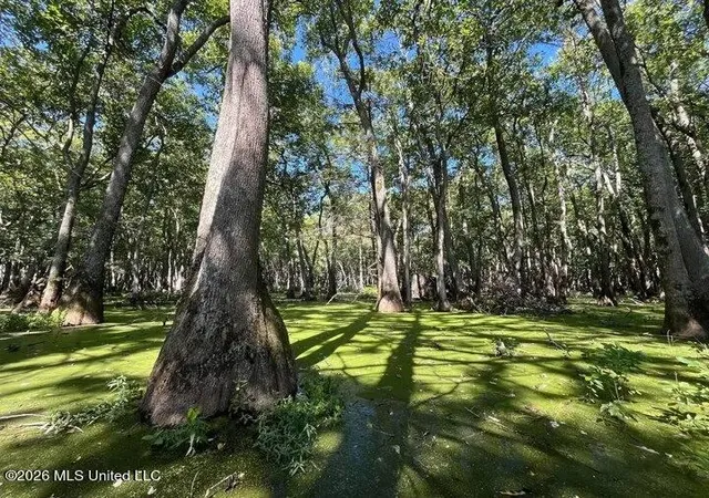 5th image of Co Rd 515, Schlater, MS 38952 | MLS# 4150210