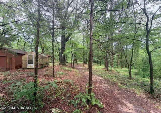 Homes for sale in Terry, MS | 320 Springhill Dr, Terry, MS 39170 | MLS# 4150319