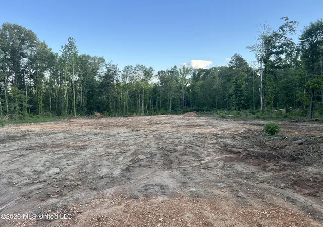 Homes for sale in Liberty, MS | 5734 Hebron Rd, Liberty, MS 39645 | MLS# 4150429