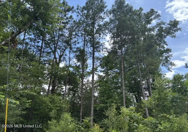 Photo 3 of Land for sale at N Lela Dr, Magnolia, MS 39652 | MLS# 4150306 | Listing updated on 2026-06-12
