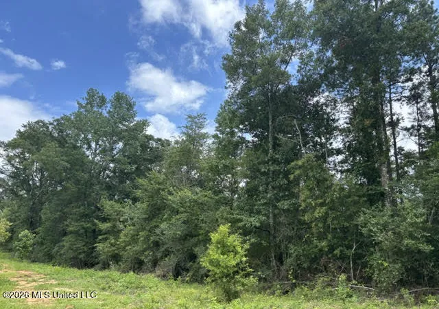 Homes for sale in Magnolia, MS | N Lela Dr, Magnolia, MS 39652 | MLS# 4150306