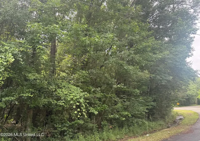 Photo 3 of Land for sale at Lundy Williams Rd, Moss Point, MS 39562 | MLS# 4150419 | Listing updated on 2026-05-23