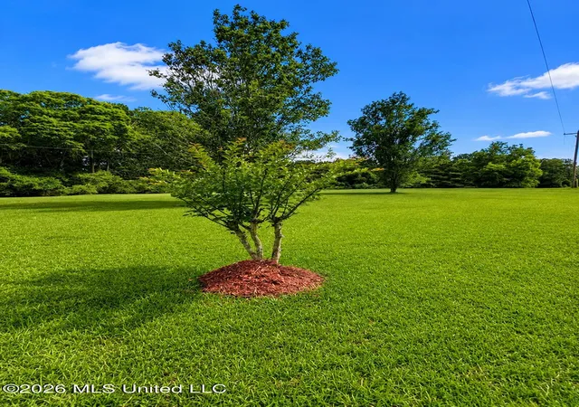 3rd image of 185 Sanatorium Rd, Mendenhall, MS 39114 | MLS# 4150382