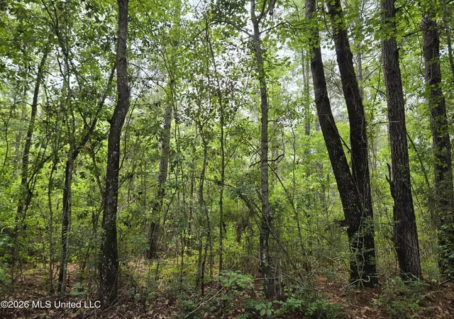 1st image of Harry Sones Rd, Carriere, MS 39426 | MLS# 4150598