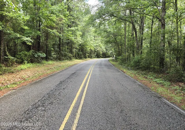 2nd image of Harry Sones Rd, Carriere, MS 39426 | MLS# 4150598